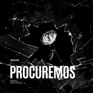 Procuremos