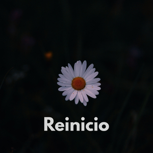 Reinicio