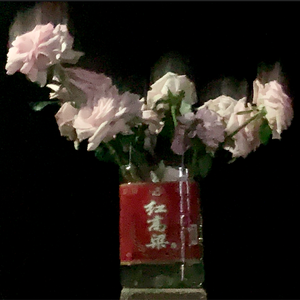 年轮说（cover 万万小宇宙）