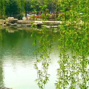 清风说 (剪辑版)