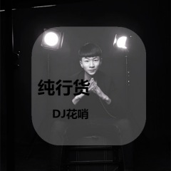 逆龙盘着 (DJ版)