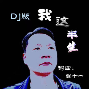 我这半生 (DJ版)