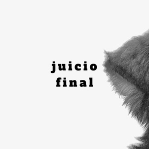 JUICIO FINAL