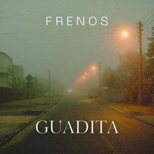 FRENOS