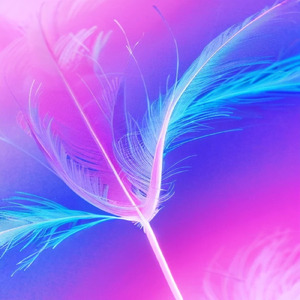 シューティング☆スター