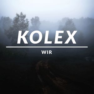 Wir