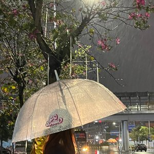 雨的印记