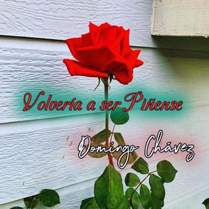 Volvería a ser Piñense
