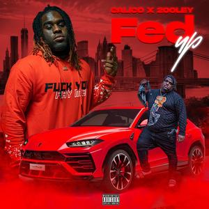 Fed Up (feat. 2ooley)