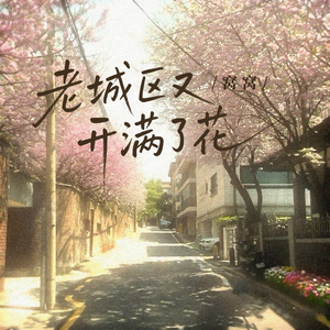 老城区又开满了花