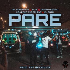 PARE (feat. Nlee, Diosito Moreno, Manzana The Dement & El Sato)