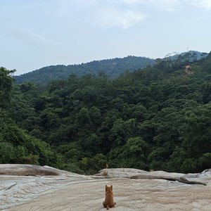 成为自己的赢家