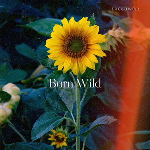 Born Wild (Radio Edit)