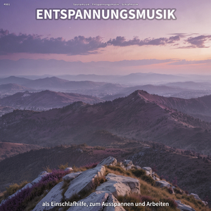 Gelassenheit bei der Koppel