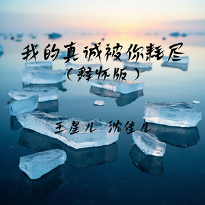 我的真诚被你耗尽(释怀版)