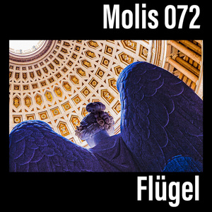 Flügel