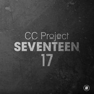 Seventeen (Radio Edit)