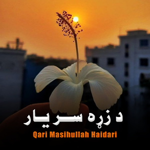 Qdardana Ashna