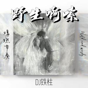 野生啊嗦 (爆燃节奏)