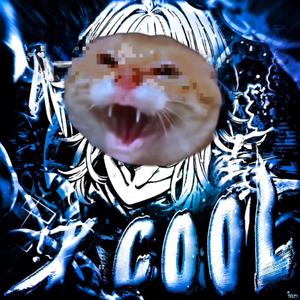 哈基米：X-COOL!（我叫小白李 remix）