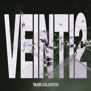 Veinti2