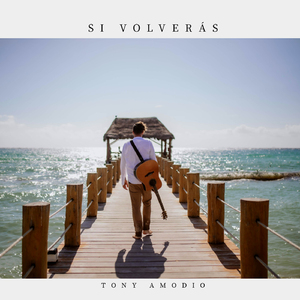 Si volverás