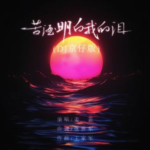 苦酒明白我的泪 (DJ版)