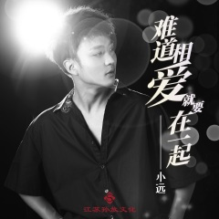 难道相爱就要在一起 (DJ版)