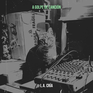 A Golpe De Canción
