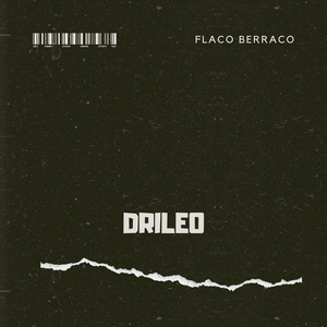 Drileo