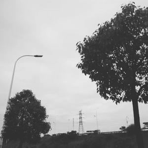 没有什么是值得放弃