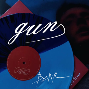 Gun