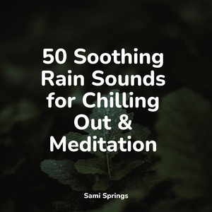 Boating Rain Noise