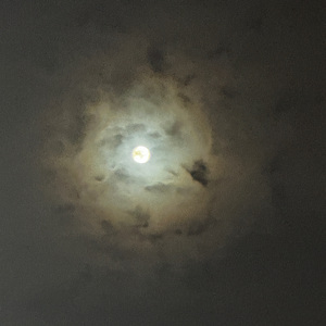 maybe it's my fault（prod.by beatsbykoi）