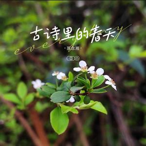 古诗里的春天