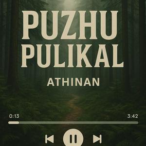PAKKI PARUNTH (feat. Logeshwara chandrasekhar)