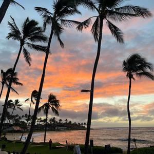 Ho'onani Sunrise (feat. Daniella Katzir) (Live @ Denver Ukefest 2023)