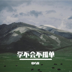 学不会不孤单