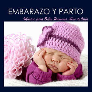 Un Embarazo Feliz