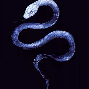 雪中藏着融化的誓言