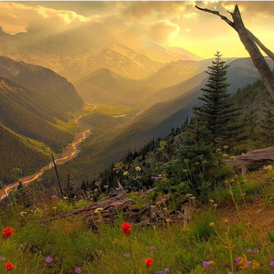 连哭都是我的错