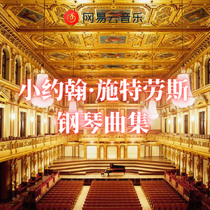 齐夫拉改编版《闲聊波尔卡》