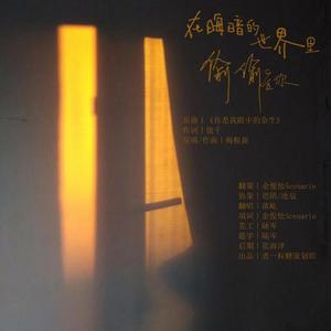 在晦暗的世界里偷偷爱你