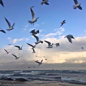 禅意海浪