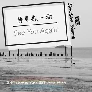 再见你一面
