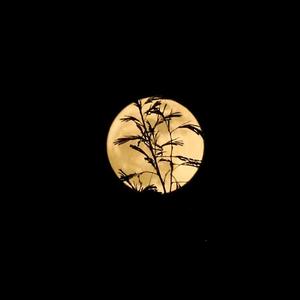 22岁时无事发生