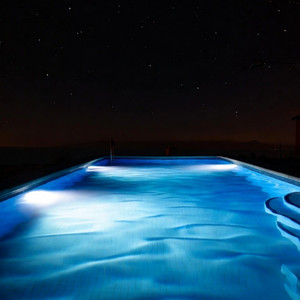 夜を泳いで Swim in the Night