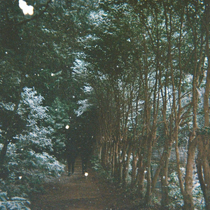 Hollow