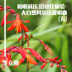 寂静的夜 (唯美钢琴曲)