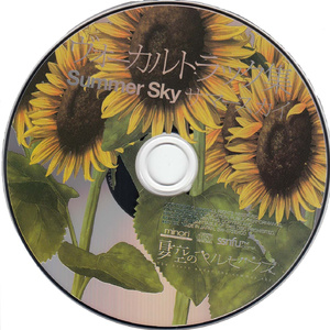 The Brave Under The Summer Sky